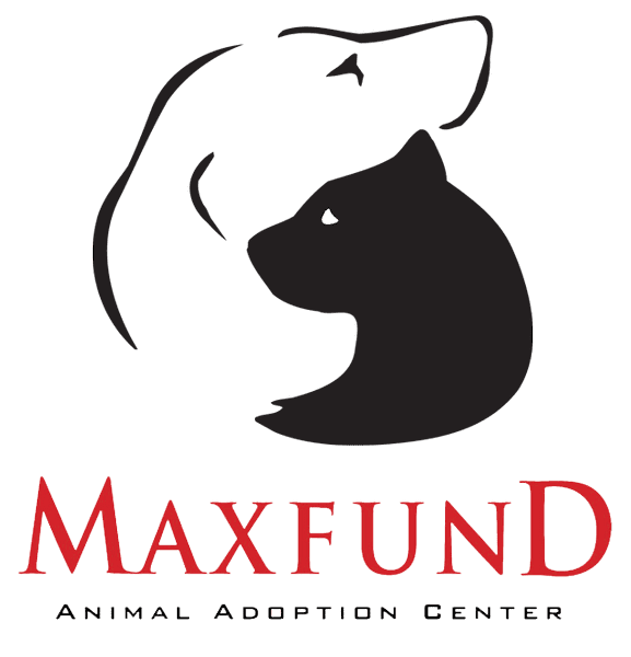 maxfund logo