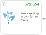 tree seedlings grown for ten years